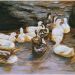 Enten