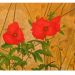 Mohnblumen