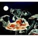 Mond mit Landschaft