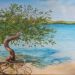 Cayo sombrero