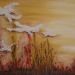Doves